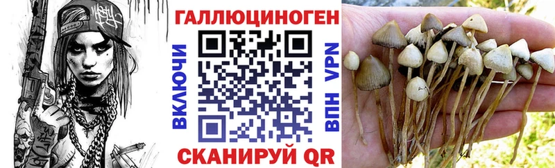 Галлюциногенные грибы MAGIC MUSHROOMS  Купить где  Любим 